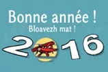 Toute l'équipe des éditions P'TIT LOUIS vous souhaite... Bonne année ! Bloavezh mat 2016 ! 42
